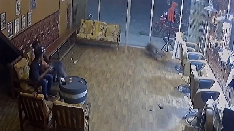 Αγριογούρουνο σε κατάσταση αμόκ μπουκάρει σε κουρείο και σπάει την τζαμαρία για να βγει (βίντεο)